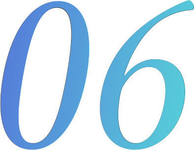06