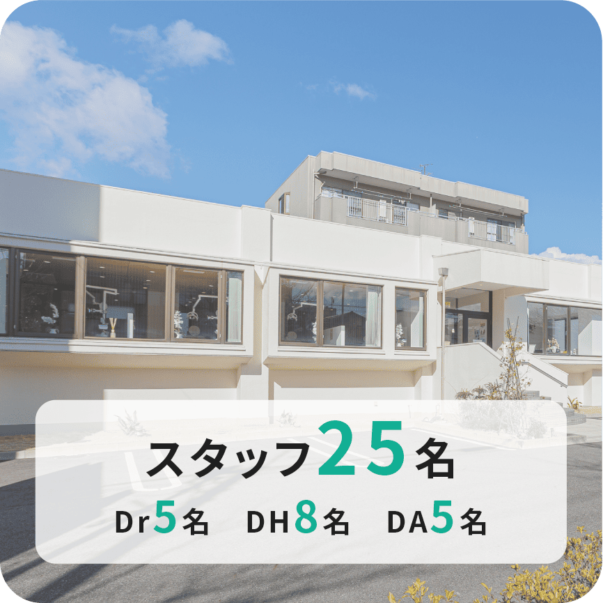 スタッフ25名 Dr5名 DH8名 DA5名